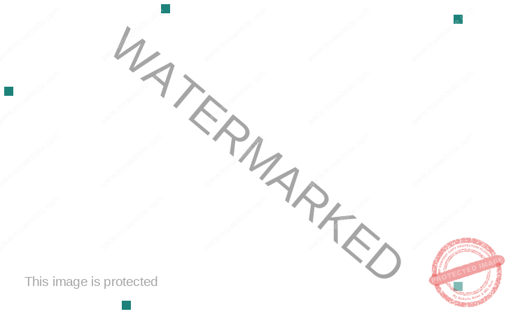 TechNest | Software Development Company - TechNest