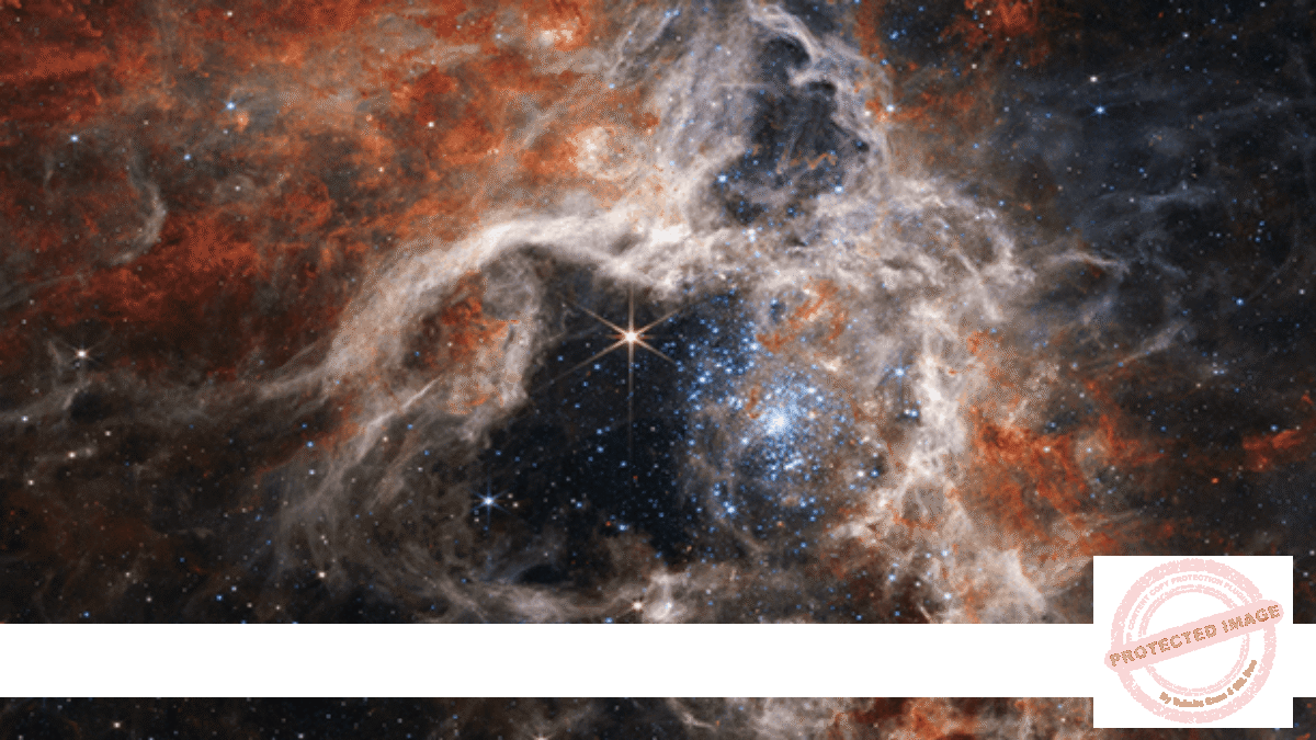 James Webb Telescope captures a Cosmic Tarantula