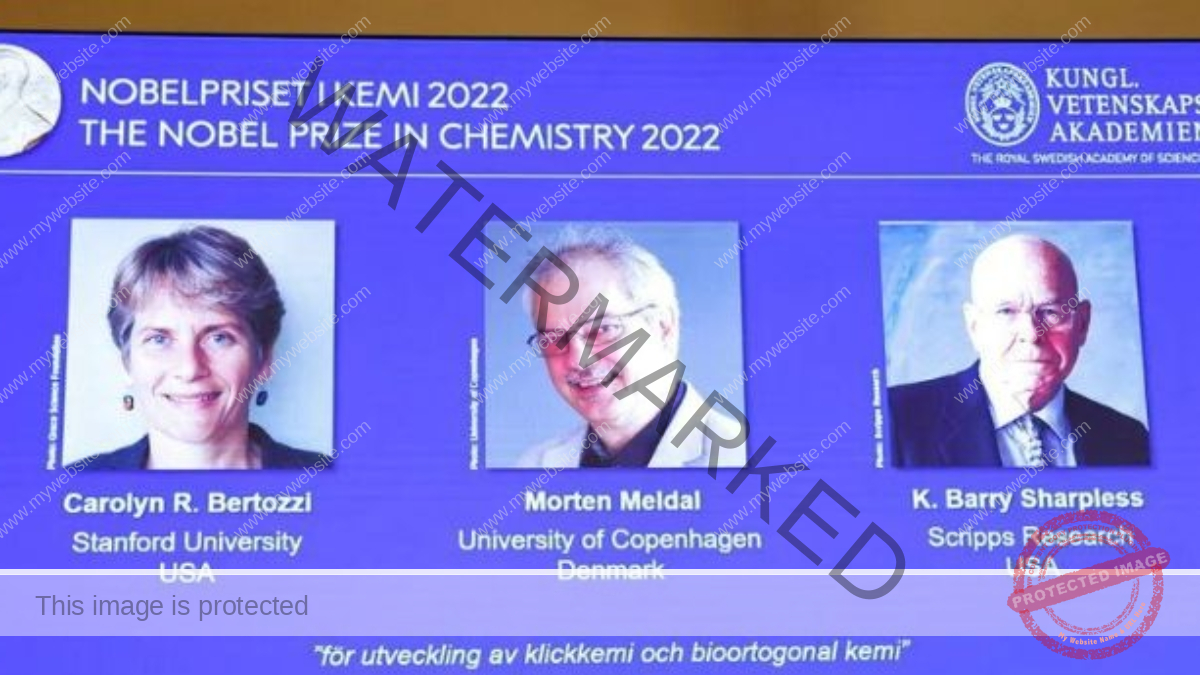 Nobel prize goes to pioneers of Lego-like ‘click chemistry’