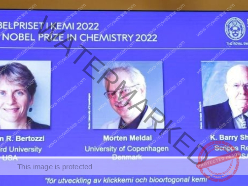 Nobel prize goes to pioneers of Lego-like ‘click chemistry’