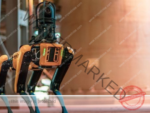 robot (1)