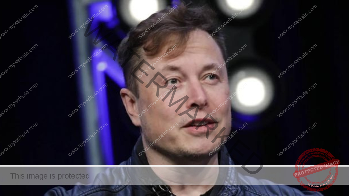 Elon