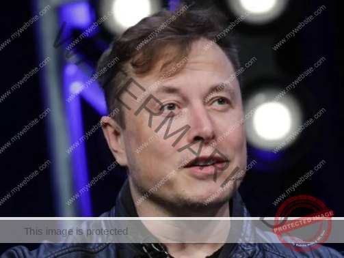 Elon