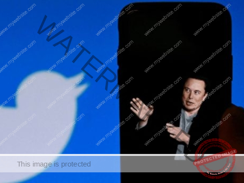 Elon Musk announces ‘amnesty’ for banned Twitter accounts after poll