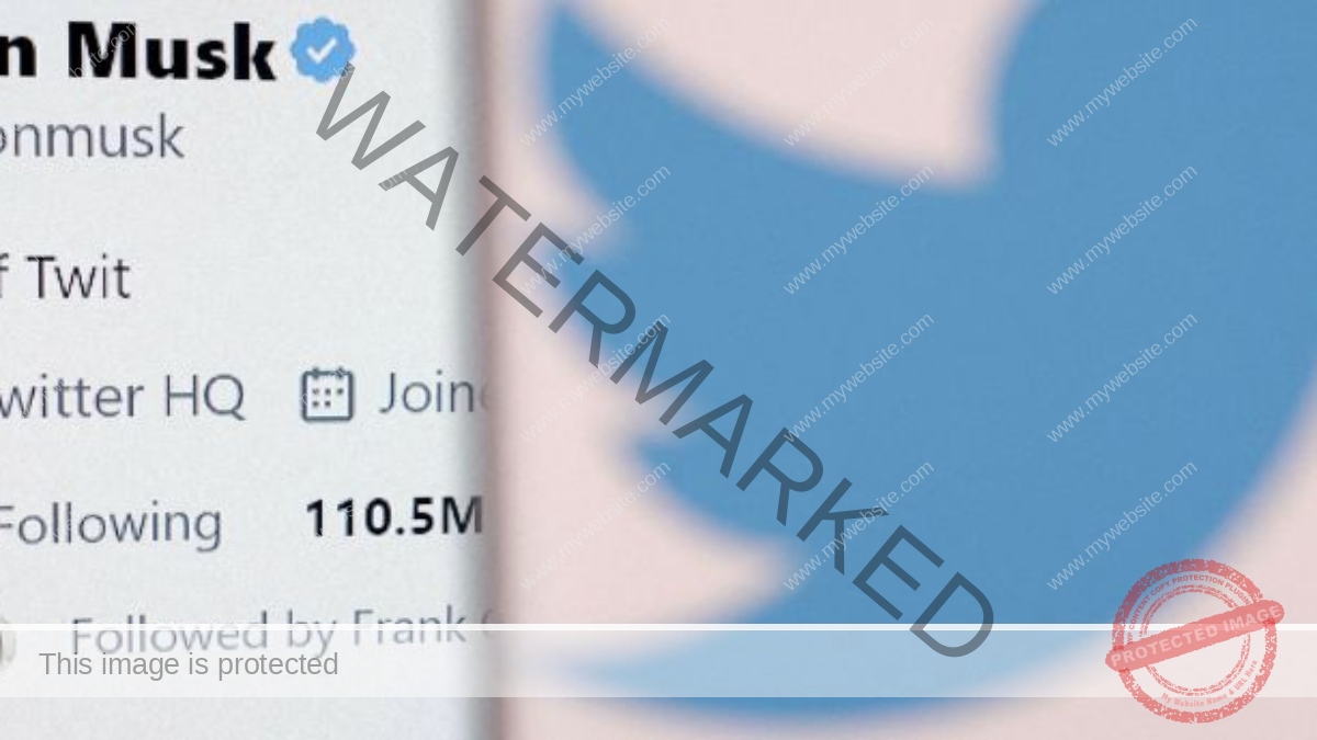 Elon Musk plans to cut half of Twitter jobs report