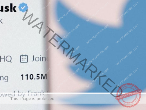 Elon Musk plans to cut half of Twitter jobs report