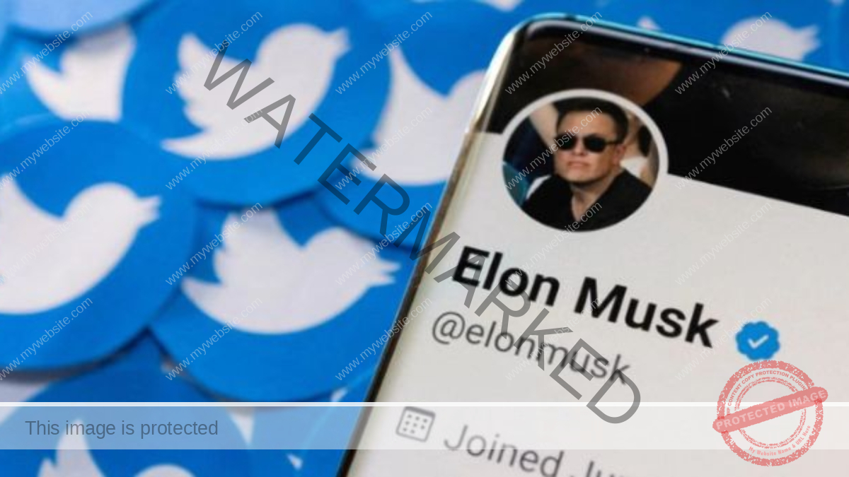Elon Musk says Twitter to hold off relaunching blue check verification