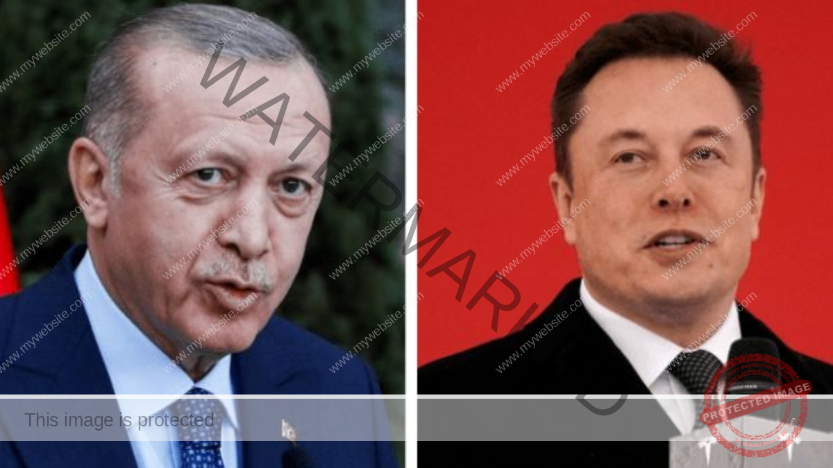 Erdogan says he could discuss charge for Twitter blue check with Elon Musk