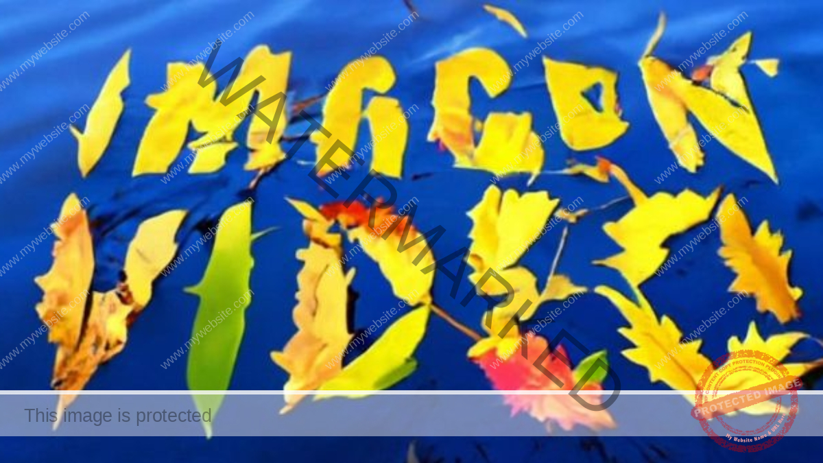 New Google tool creates video with text (1)