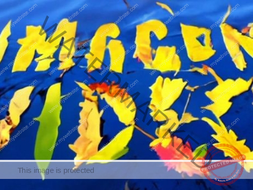 New Google tool creates video with text (1)