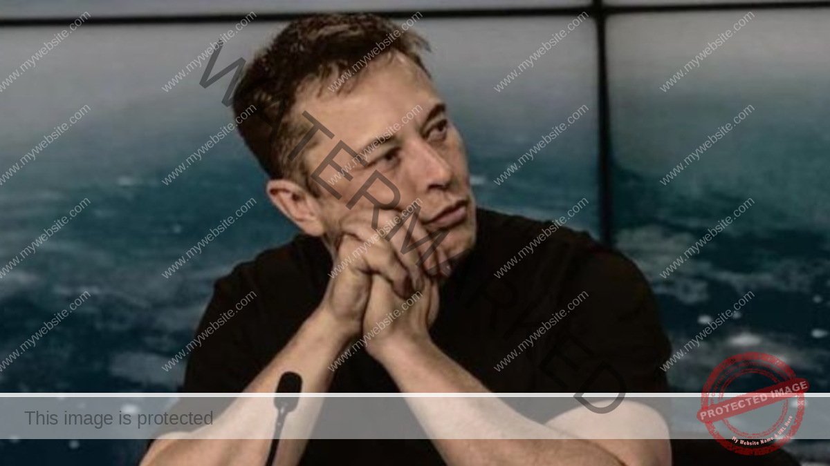 elon (1)