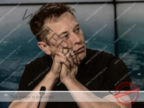elon (1)