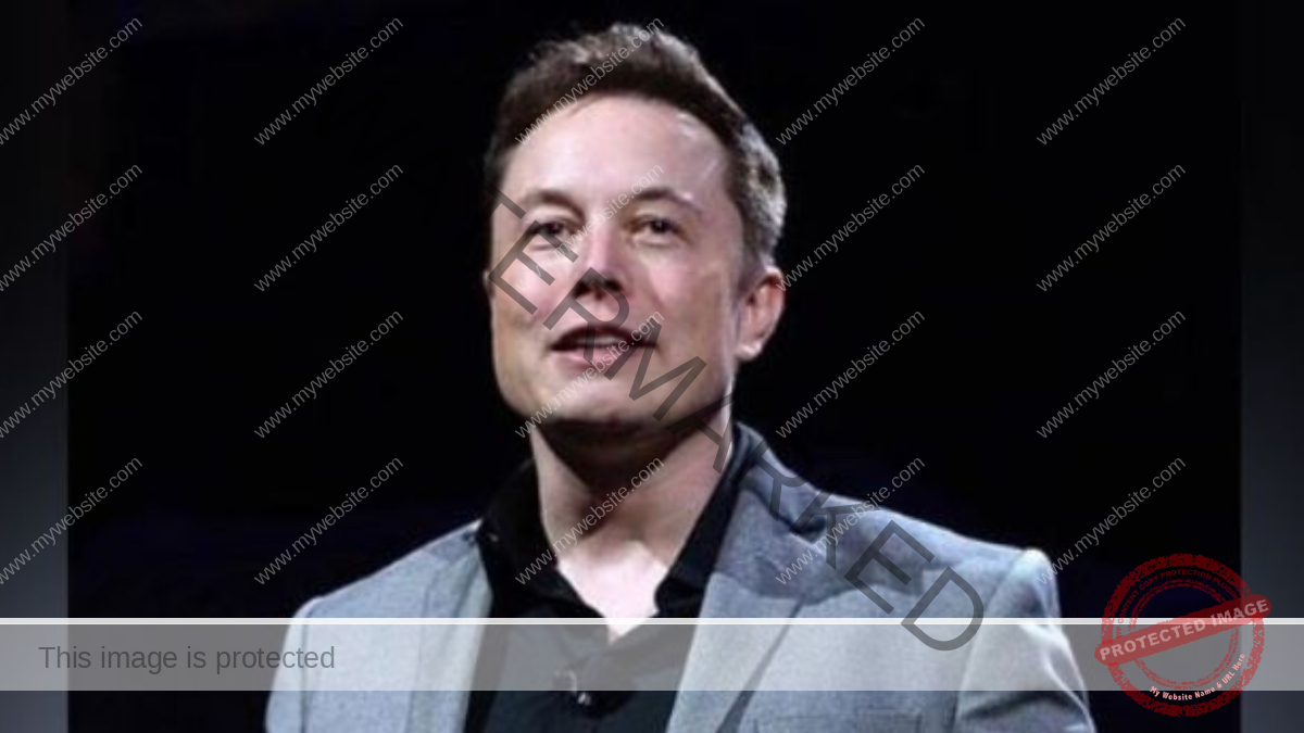elon