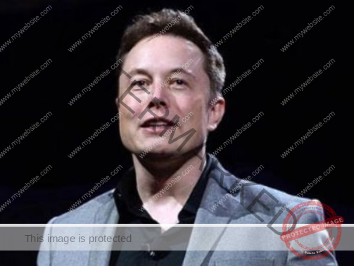 elon