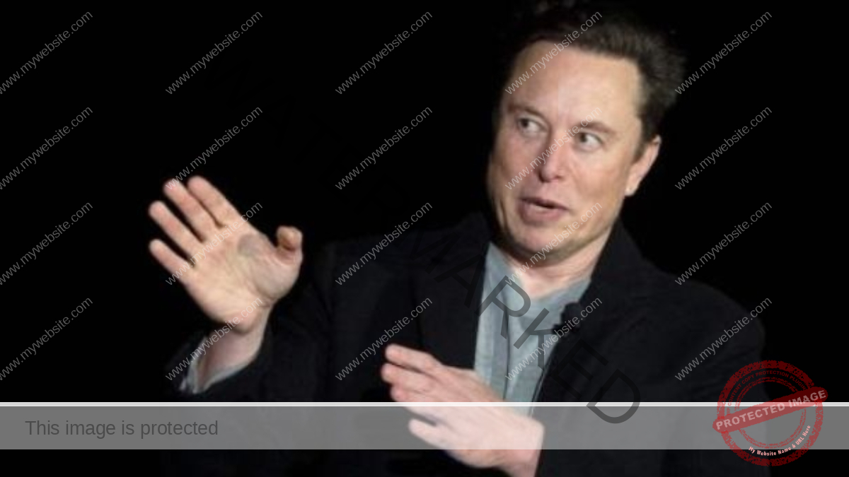 elon musk