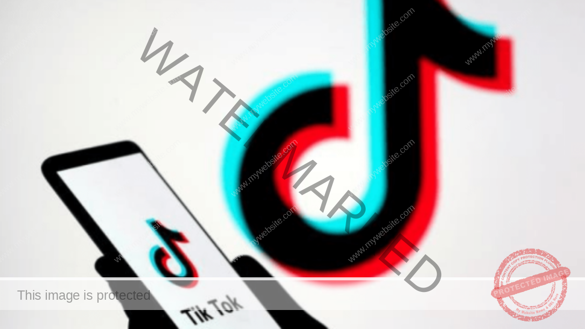 291643130572130